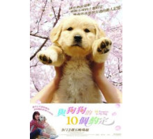 10 обещаний моей собаке (2008) 10 обещаний моей собаке (2008)