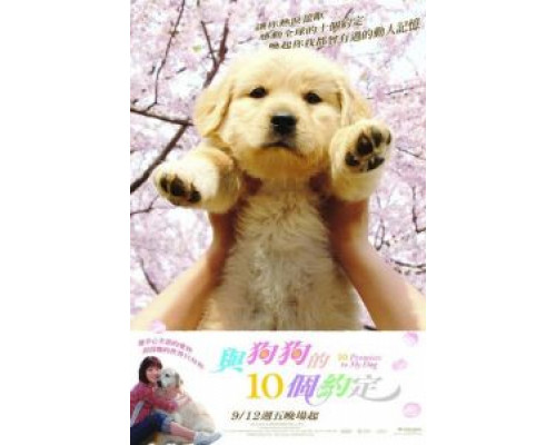 10 обещаний моей собаке  (фильм 2008) смотреть онлайн - ЛордФильм 10 обещаний моей собаке  (фильм 2008) смотреть онлайн - ЛордФильм
