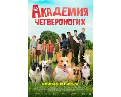 Академия четвероногих  (фильм 2024) смотреть онлайн - ЛордФильм