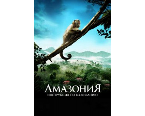   Амазония: Инструкция по выживанию  (фильм 2013) смотреть онлайн - ЛордФильм