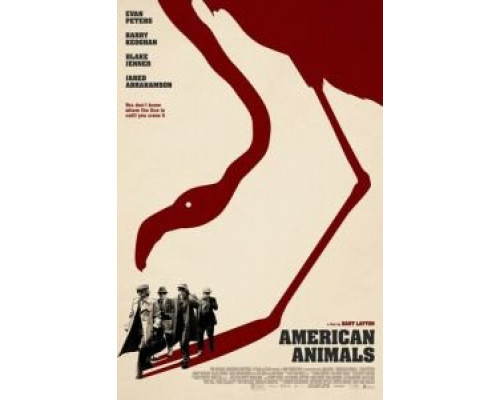 Американские животные (фильм 2018) смотреть онлайн - ЛордФильм Американские животные (фильм 2018) смотреть онлайн - ЛордФильм