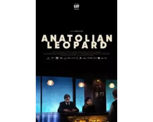 Анатолийский леопард  (фильм 2021) смотреть онлайн - ЛордФильм