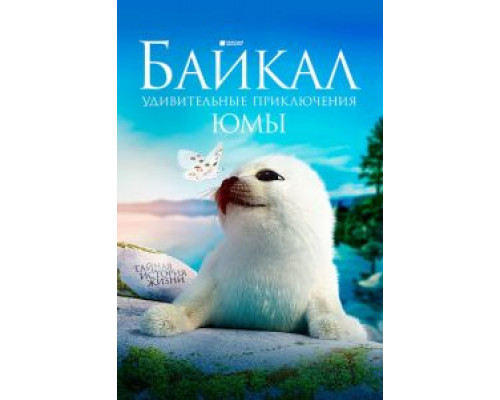 Байкал. Удивительные приключения Юмы  (фильм 2020) смотреть онлайн - ЛордФильм Байкал. Удивительные приключения Юмы  (фильм 2020) смотреть онлайн - ЛордФильм