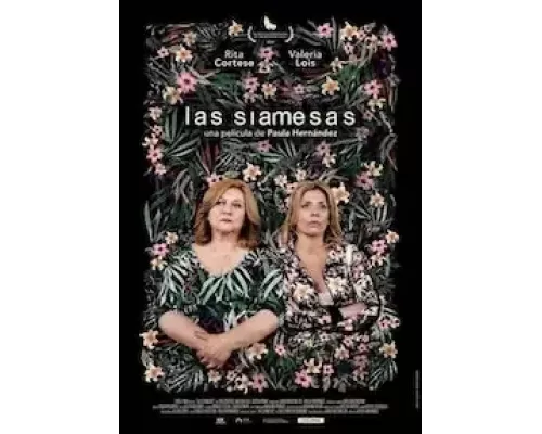 Близняшки  (фильм 2020) смотреть онлайн - ЛордФильм