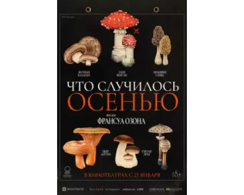 Что случилось осенью (фильм 2024) смотреть онлайн - ЛордФильм Что случилось осенью (фильм 2024) смотреть онлайн - ЛордФильм