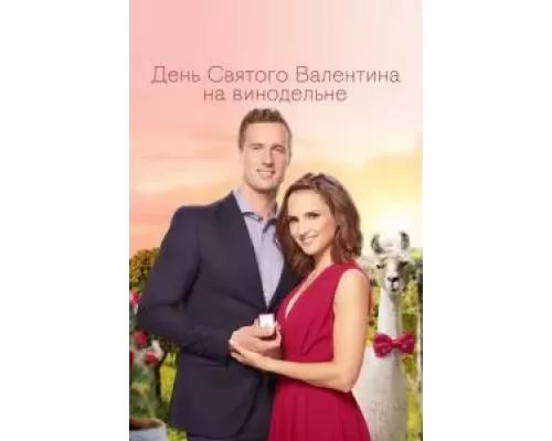 День Святого Валентина на винодельне  (фильм 2019) смотреть онлайн - ЛордФильм