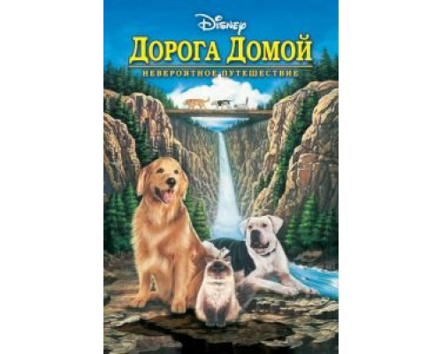 Дорога домой: Невероятное путешествие (фильм 1993) смотреть онлайн - ЛордФильм Дорога домой: Невероятное путешествие (фильм 1993) смотреть онлайн - ЛордФильм