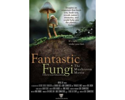   Фантастические грибы  (фильм 2019) смотреть онлайн - ЛордФильм