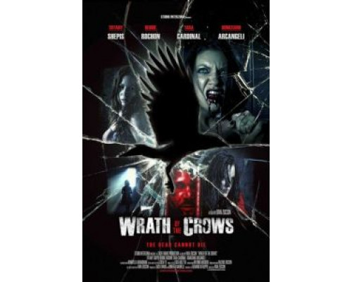 Гнев вороны  (фильм 2013) смотреть онлайн - ЛордФильм