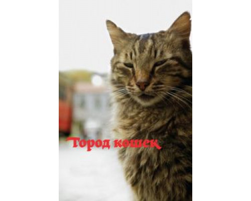 Город кошек (фильм 2016) смотреть онлайн - ЛордФильм Город кошек (фильм 2016) смотреть онлайн - ЛордФильм