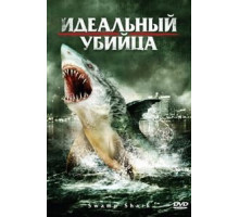Идеальный убийца (2011) Идеальный убийца (2011)