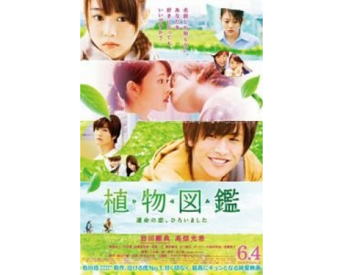 Иллюстрированная книга растений  (фильм 2016) смотреть онлайн - ЛордФильм Иллюстрированная книга растений  (фильм 2016) смотреть онлайн - ЛордФильм