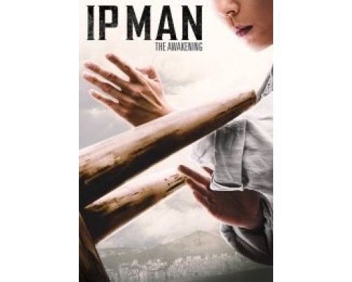 Ип Ман: Пробуждение  (фильм 2022) смотреть онлайн - ЛордФильм