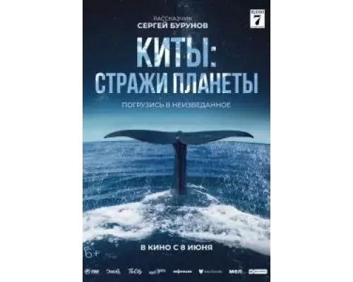 Киты: Стражи планеты (фильм 2023) смотреть онлайн - ЛордФильм Киты: Стражи планеты (фильм 2023) смотреть онлайн - ЛордФильм