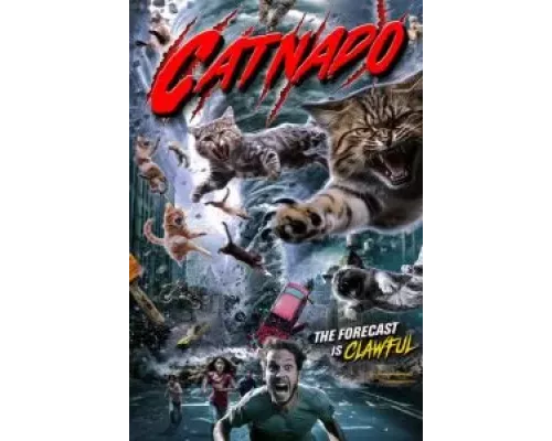 Кошачий торнадо (фильм 2022) смотреть онлайн - ЛордФильм Кошачий торнадо (фильм 2022) смотреть онлайн - ЛордФильм