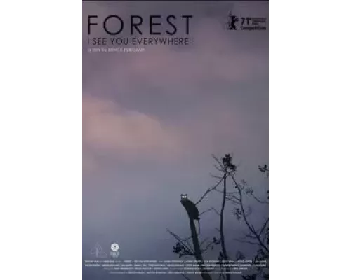 Лес: Вижу тебя повсюду  (фильм 2021) смотреть онлайн - ЛордФильм