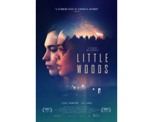 Лесок (фильм 2018) смотреть онлайн - ЛордФильм Лесок (фильм 2018) смотреть онлайн - ЛордФильм