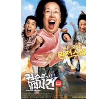 Миссия выполнима: Похищение бабули (2007) Миссия выполнима: Похищение бабули (2007)