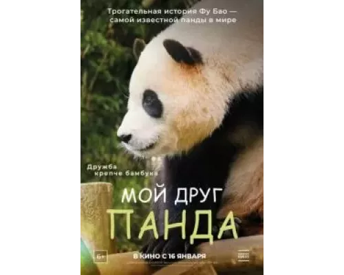 Мой друг панда (фильм 2024) смотреть онлайн - ЛордФильм Мой друг панда (фильм 2024) смотреть онлайн - ЛордФильм