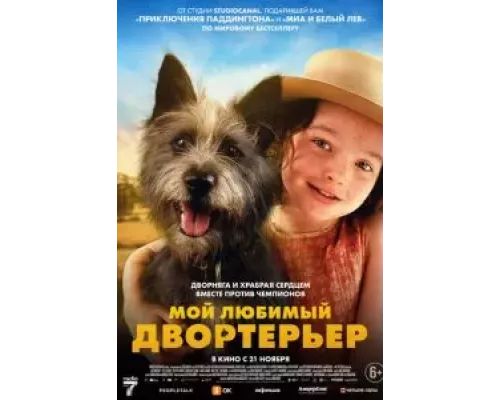 Мой любимый двортерьер (фильм 2024) смотреть онлайн - ЛордФильм Мой любимый двортерьер (фильм 2024) смотреть онлайн - ЛордФильм