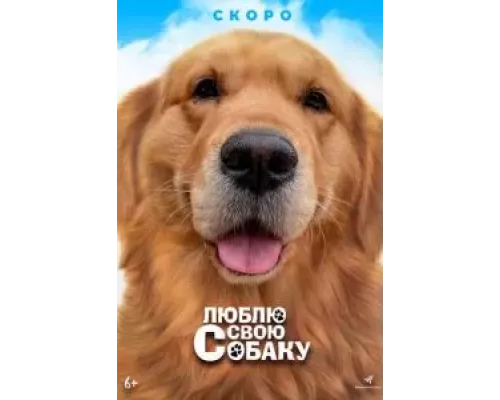   Мой пёс Руни  (фильм 2023) смотреть онлайн - ЛордФильм