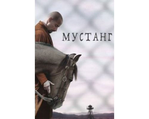 Мустанг (фильм 2019) смотреть онлайн - ЛордФильм Мустанг (фильм 2019) смотреть онлайн - ЛордФильм