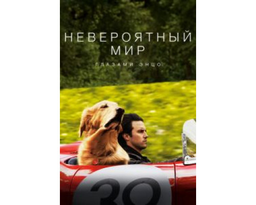 Невероятный мир глазами Энцо (фильм 2019) смотреть онлайн - ЛордФильм Невероятный мир глазами Энцо (фильм 2019) смотреть онлайн - ЛордФильм