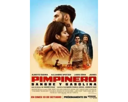 Пимпинеро: Кровь и бензин (фильм 2024) смотреть онлайн - ЛордФильм Пимпинеро: Кровь и бензин (фильм 2024) смотреть онлайн - ЛордФильм