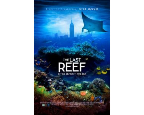 Последний риф 3D (фильм 2012) смотреть онлайн - ЛордФильм Последний риф 3D (фильм 2012) смотреть онлайн - ЛордФильм