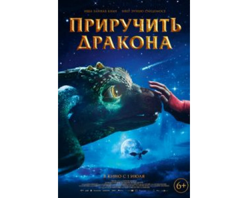 Приручить дракона  (фильм 2020) смотреть онлайн - ЛордФильм