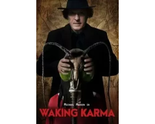Пробуждение кармы  (фильм 2023) смотреть онлайн - ЛордФильм