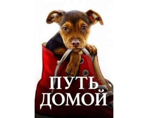 Путь домой (фильм 2019) смотреть онлайн - ЛордФильм Путь домой (фильм 2019) смотреть онлайн - ЛордФильм
