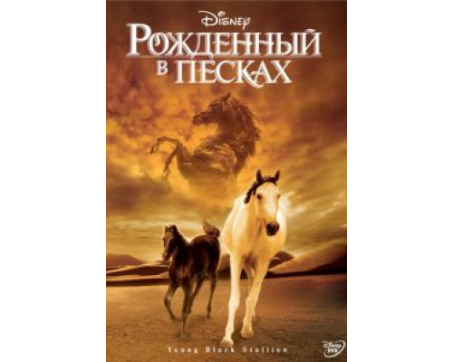 Рожденный в песках  (фильм 2003) смотреть онлайн - ЛордФильм