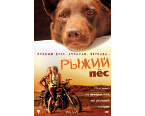   Рыжий пес  (фильм 2011) смотреть онлайн - ЛордФильм