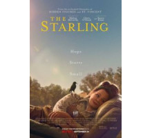 Скворец (2021) Скворец (2021)