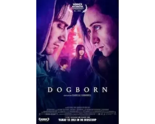 Собачий род (фильм 2022) смотреть онлайн - ЛордФильм Собачий род (фильм 2022) смотреть онлайн - ЛордФильм