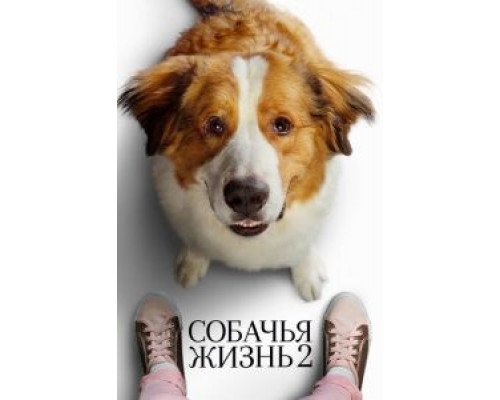 Собачья жизнь 2 (фильм 2019) смотреть онлайн - ЛордФильм Собачья жизнь 2 (фильм 2019) смотреть онлайн - ЛордФильм