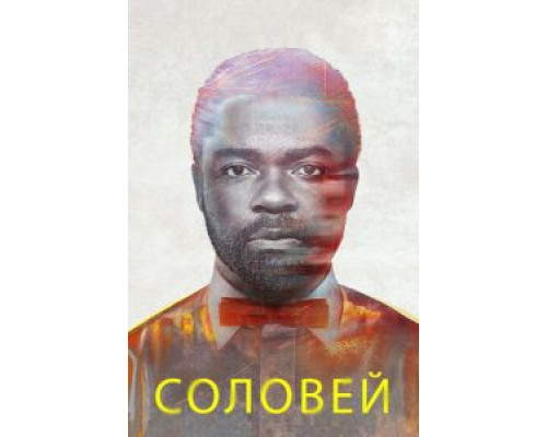 Соловей  (фильм 2014) смотреть онлайн - ЛордФильм Соловей  (фильм 2014) смотреть онлайн - ЛордФильм