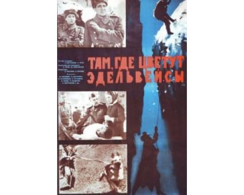 Там, где цветут эдельвейсы  (фильм 1965) смотреть онлайн - ЛордФильм