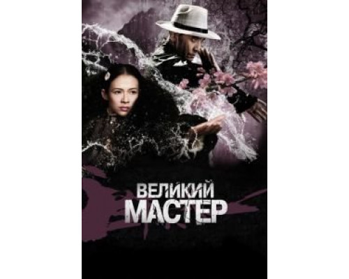   Великий мастер  (фильм 2013) смотреть онлайн - ЛордФильм