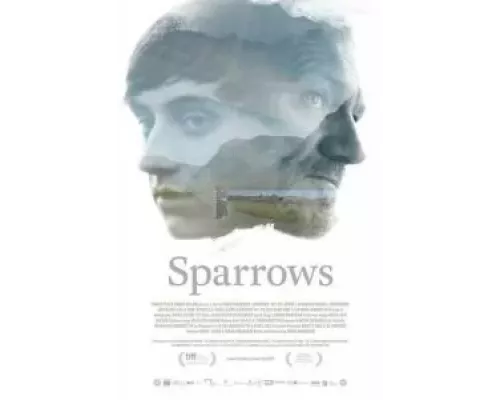 Воробьи (фильм 2015) смотреть онлайн - ЛордФильм Воробьи (фильм 2015) смотреть онлайн - ЛордФильм