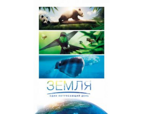 Земля: Один потрясающий день (фильм 2017) смотреть онлайн - ЛордФильм Земля: Один потрясающий день (фильм 2017) смотреть онлайн - ЛордФильм